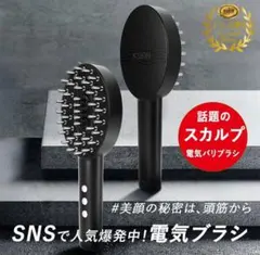 KSKIN 電気ブラシ ブラック