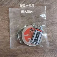 大相撲ガチャ　ダブルチャームメタルキーホルダー　豊昇龍