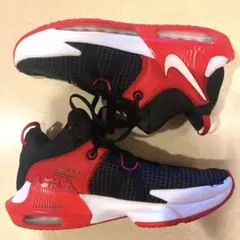 人気モデル【状態良】ナイキバッシュ レブロン ウィットネス7 26.5cm黒×赤