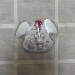 サンリオキャラクターズ パッケージチャーム&チョコボーロ　ウィッシュミーメル