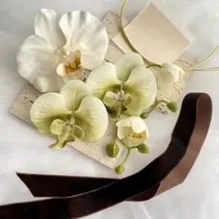 ②胡蝶蘭 髪飾り 卒業式　成人式　袴　着物　リボン　コチョウラン