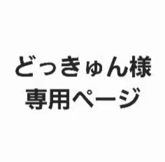 どっきゅん様 専用ページ