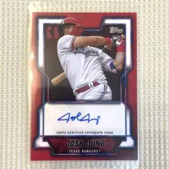 2025年最新】ジョシュヤンの人気アイテム - メルカリ