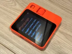 rabbit r1 本体 動作確認済み