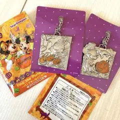 東京ディズニーランド非売品チャーム　ハロウィン　ミッキーミニー　2013