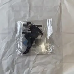 サカモトデイズ スタンド付きビッグアクリルプレート ナムコ限定 勢羽夏生