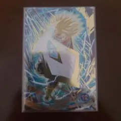 SDV8-013　トランクス未来　パラレル