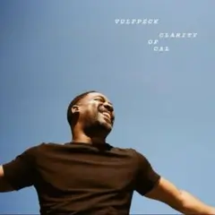 Vulfpeck Clarity of Cal レコード 新品