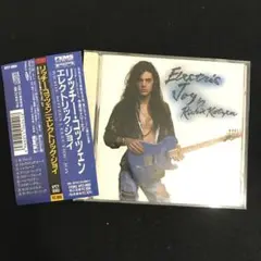 リッチー・コッツェン　エレクトリック・ジョイ　帯あり　✨☆匿名☆