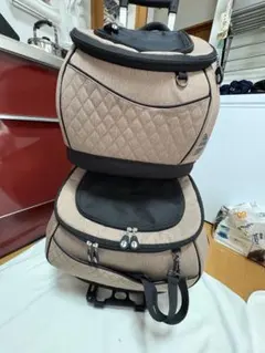 キャリーバッグ リュック ダイスキ 旅行 多頭 洗える 通院 避難 小型犬 ポメ リュック型キャリーバッグ DAISUKI Mサイズ 正規品 犬猫用