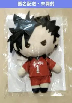 2025年最新】ハイキュー ぬいぐるみ ペンポーチの人気アイテム - メルカリ