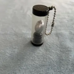 Item thumbnail for item 32be7bc3-9857-441a-9575-bfbf39398104