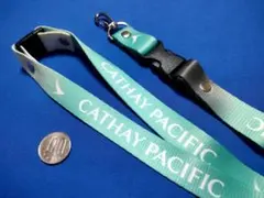 SONY FIFAワールドカップ2010 ストラップ 南アフリカ大会 - メルカリ