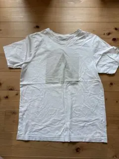 ARC'TERYX アークテリクス Tシャツ ホワイト