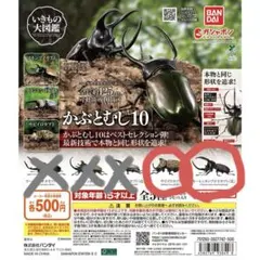 【2つセット】バンダイ　いきもの大図鑑かぶとむし10
