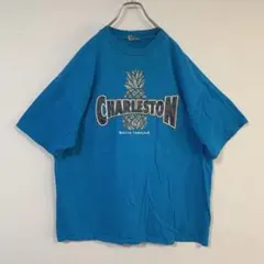 90s USA製 Hanes BEEFY-T ロゴTシャツ XXL 青 ビッグ