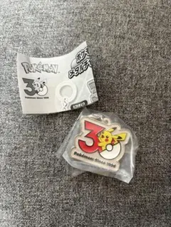 ポケモン 30周年 メタルチャームマスコット ピカチュウ