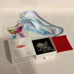 Katy Perry The Lifetimes Tour VIP グッズ