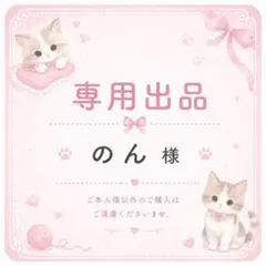 のん様 専用出品