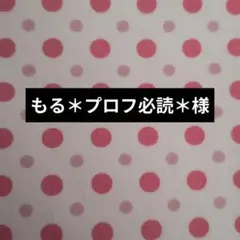 もる＊プロフ必読＊様　☆専用出品☆