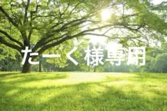 QUICKCAMP クイックキャンプ ワンタッチテント　3人用 QC-OT210のサムネイル