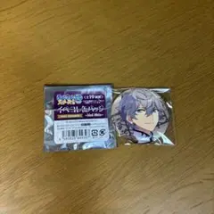 【〜8/3まで限定値下げ】あんスタ 瀬名泉 テーマ 缶バッジ idol 40点 あんスタ コレクション缶バッジ 2024 Aug. Idol 瀬名泉