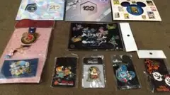 ディズニー ピンバッジ セットファーストパスホルダー