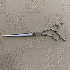 Item thumbnail for item 6d97f199-a874-48cc-873c-2b8c16163c69