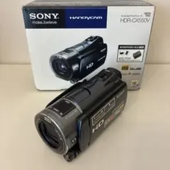 2026年最新】HDR-CX590の人気アイテム - メルカリ