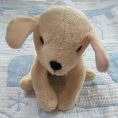 in the room 茶色 犬 ぬいぐるみ ゴールデンレトリバー くたくた