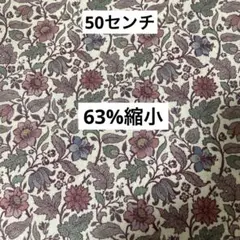 リバティタナローン　2025AW エメリーウォーカー　63%縮小