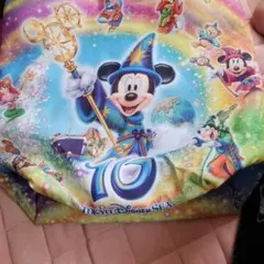 東京ディズニーリゾート　トートバッグ