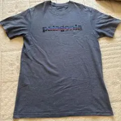 patagonia グレー Tシャツ