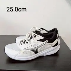 ミズノ　マキシマイザー26 ランニングシューズ　ウォーキングシューズ　ワイド