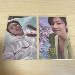 Sector17 ミンハオ　THE8