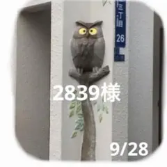 様