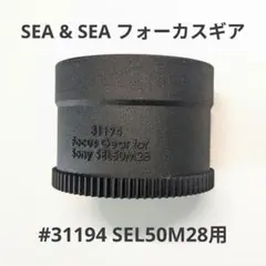 Item thumbnail for item a921f7a6-4da7-422b-bcd4-f6b05f71b444