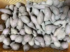 訳あり種子島産安納芋紅5.2kg