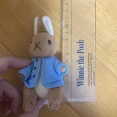 ピーターラビット ボタン付き青ジャケットうさぎぬいぐるみ