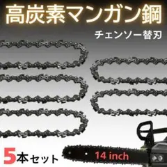 38685376_3