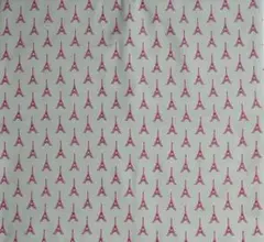 Item thumbnail for item d693dc76-ca84-4c40-bef0-3b50c05eb1fc