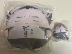 ハイキュー!! くじメイト ぬいくじ C賞 木兎光太郎 E賞 木葉秋紀 セット