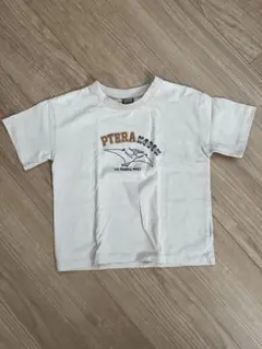 PTERA ロゴ Tシャツ ホワイト