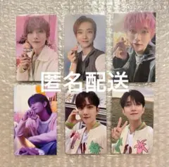 SEVENTEEN ジョシュア 会場限定