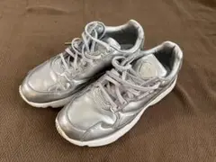 ファルコン　シルバー