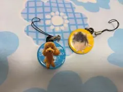 Item thumbnail for item e72fcdc4-cd85-48dd-839e-ab424f5cd699