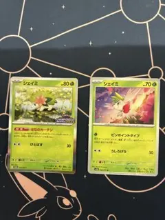 シェイミ　2枚セット