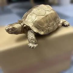ゴールドタートル 亀 オブジェ レジン製 インテリア 置物 縁起物