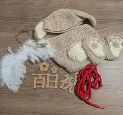 Item thumbnail for item 05d3a596-32bb-45a8-b2c6-ddc79f7bd3f3