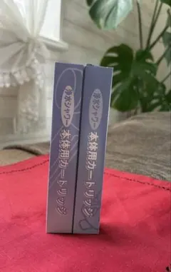 ゲリラSALE】素粒水シャワー用 カートリッジ2個→4個は超激安 - メルカリ